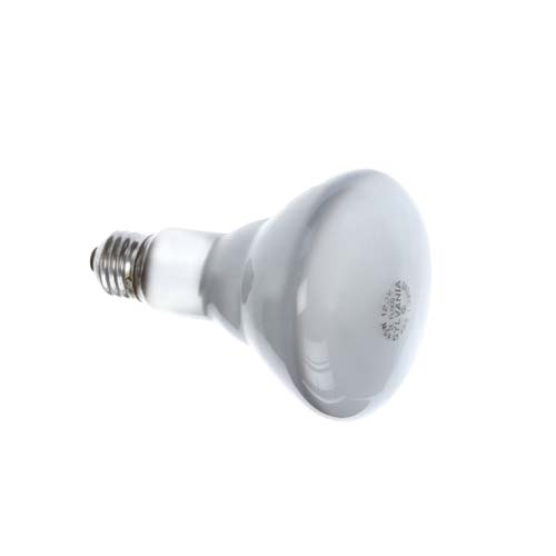 Bulb Flood 65 Watt Acb